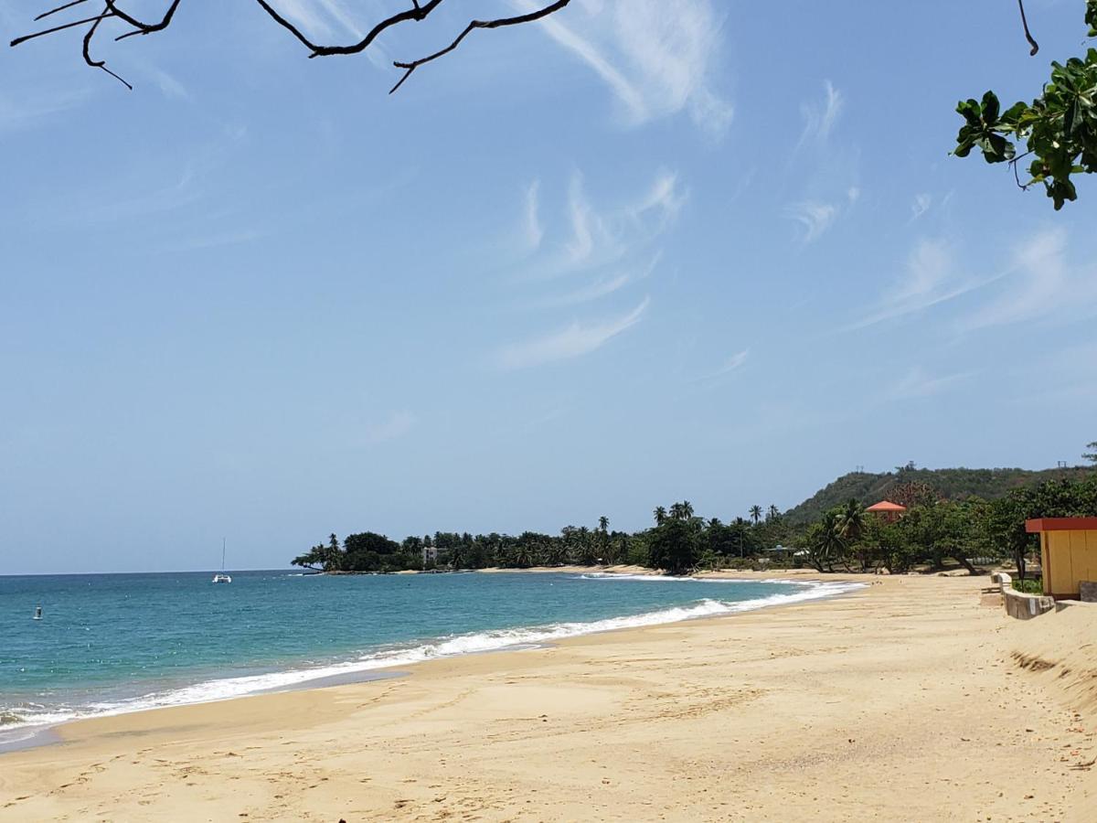Wave View Village - Beach Front - Luxury Spot Rincon Dış mekan fotoğraf